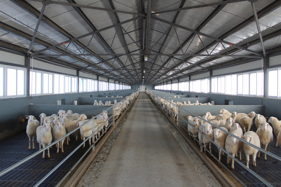 當好產業(yè)扶貧主力軍，打贏脫貧攻堅戰(zhàn)